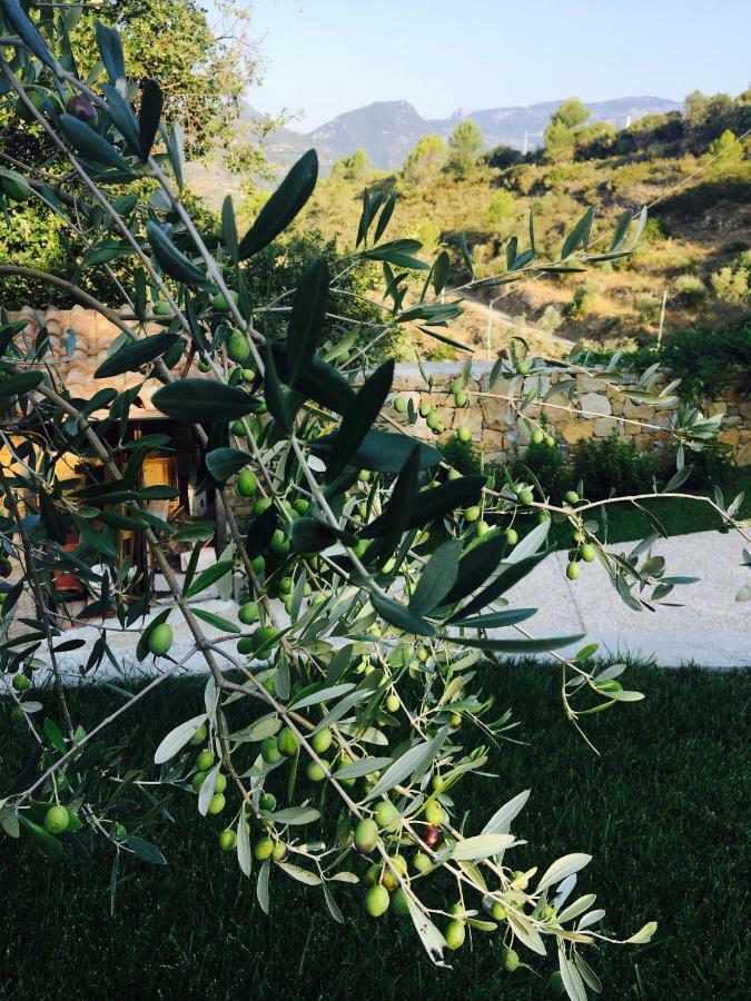 B&B Normanna Dolceacqua Eksteriør billede